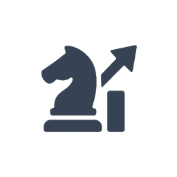 Business Strategy & Execution Support